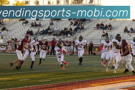 多媒体互动体验